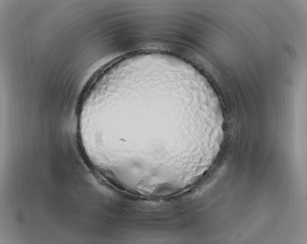 X0000113331125200910131143