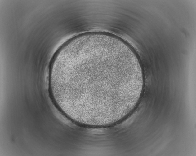 X0000113331126200910131143