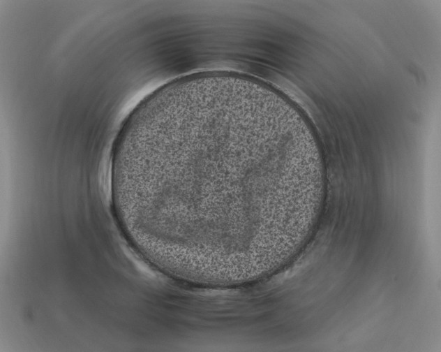X0000113331127200910131143