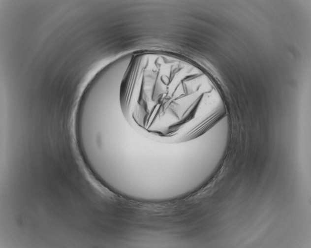 X0000113331128200910131143