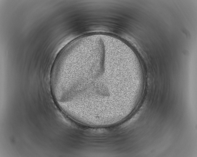 X0000113331129200910131143