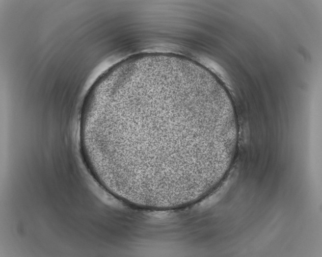 X0000113331130200910131143