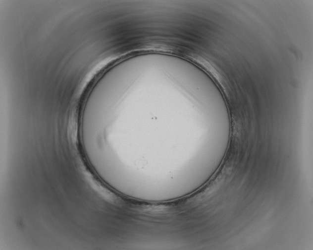 X0000113331131200910131143