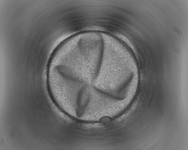 X0000113331133200910131143