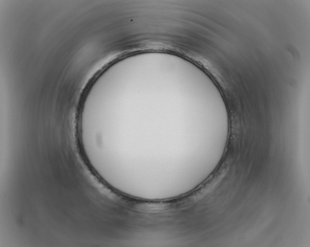 X0000113331134200910131143