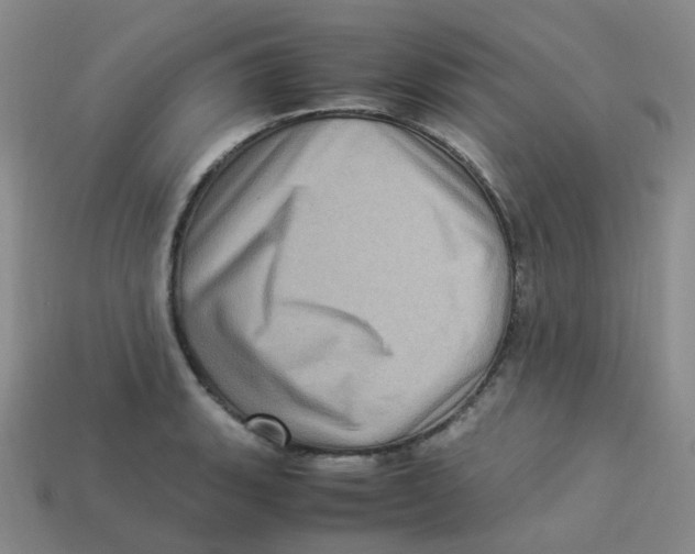 X0000113331135200910131143