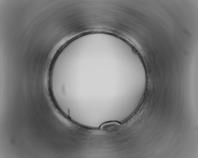 X0000113331136200910131143