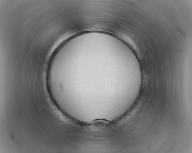 X0000113331138200910131143