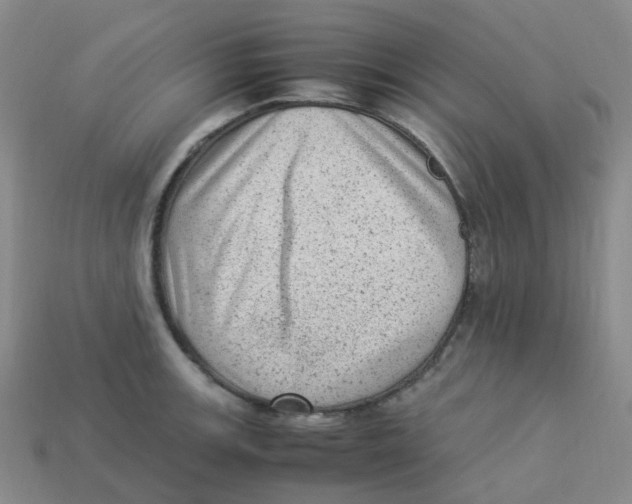 X0000113331139200910131143