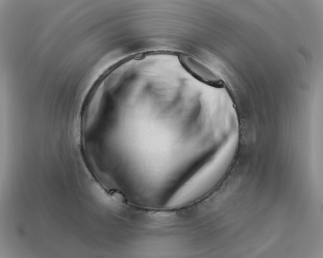 X0000113331140200910131143