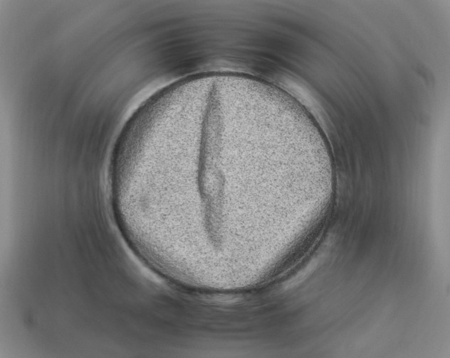 X0000113331141200910131143