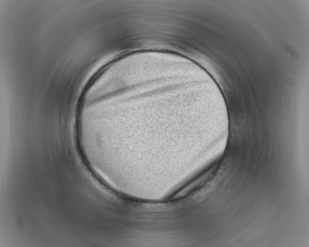 X0000113331142200910131143
