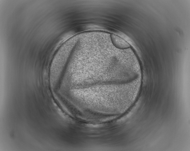 X0000113331145200910131143