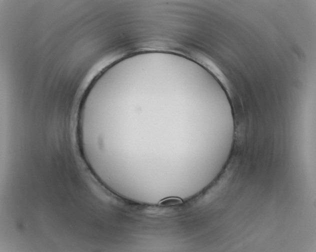 X0000113331146200910131143