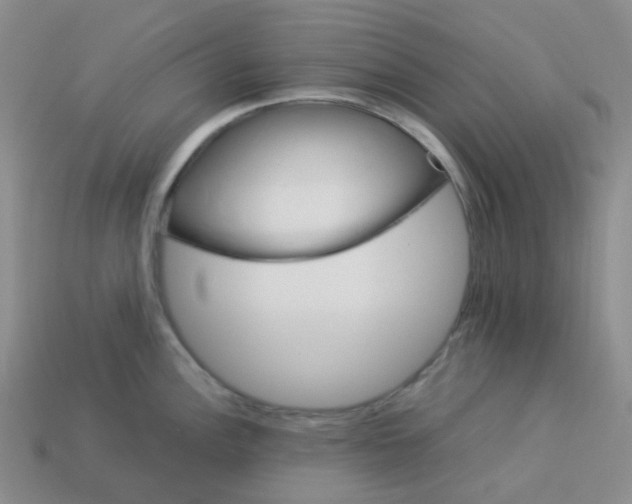 X0000113331148200910131143