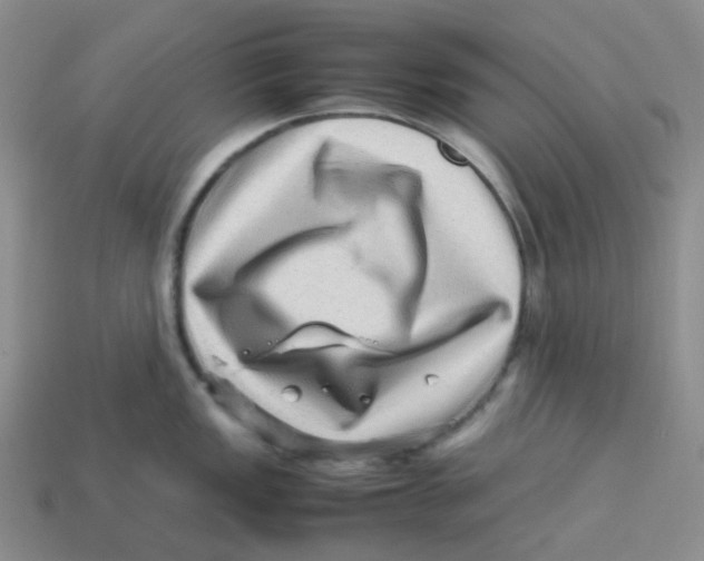 X0000113331149200910131143