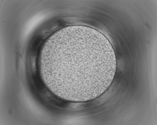 X0000113331150200910131143