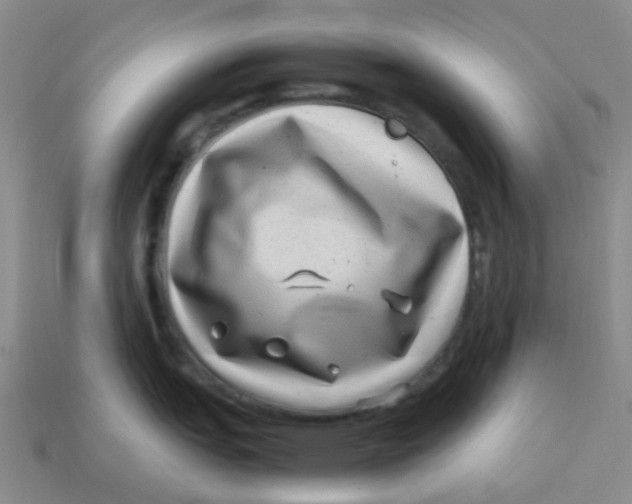 X0000113331151200910131143