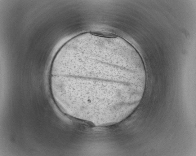 X0000113331152200910131143