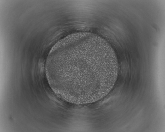 X0000113331154200910131143
