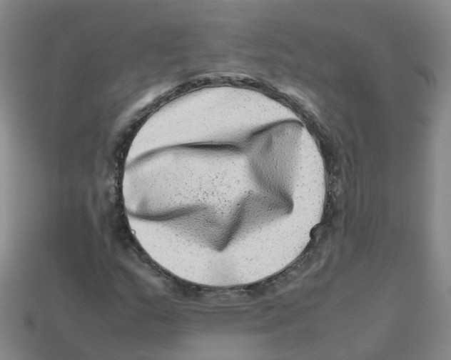 X0000113331159200910131143