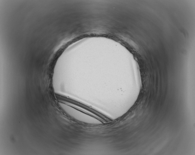 X0000113331160200910131143