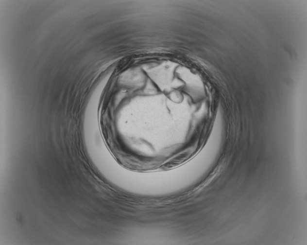 X0000113331161200910131143