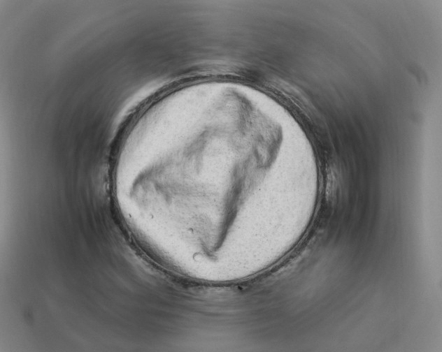 X0000113331164200910131143