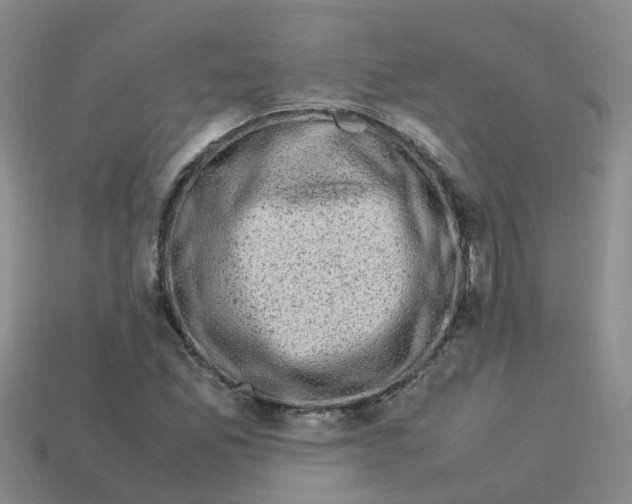 X0000113331165200910131143