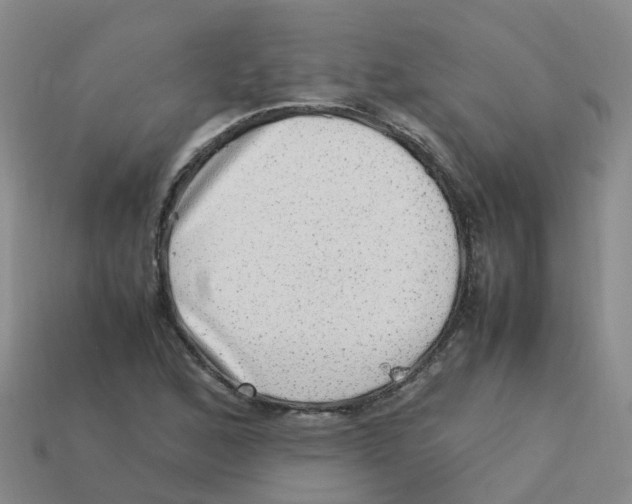 X0000113331168200910131143