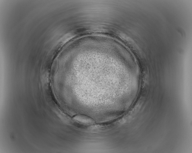 X0000113331169200910131142