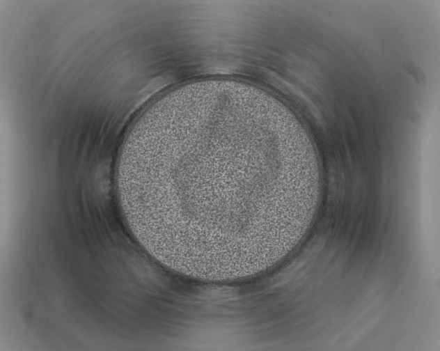 X0000113331170200910131142