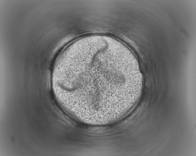 X0000113331171200910131142