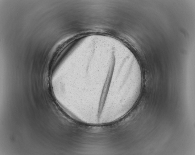 X0000113331172200910131142