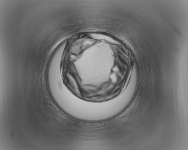 X0000113331173200910131142