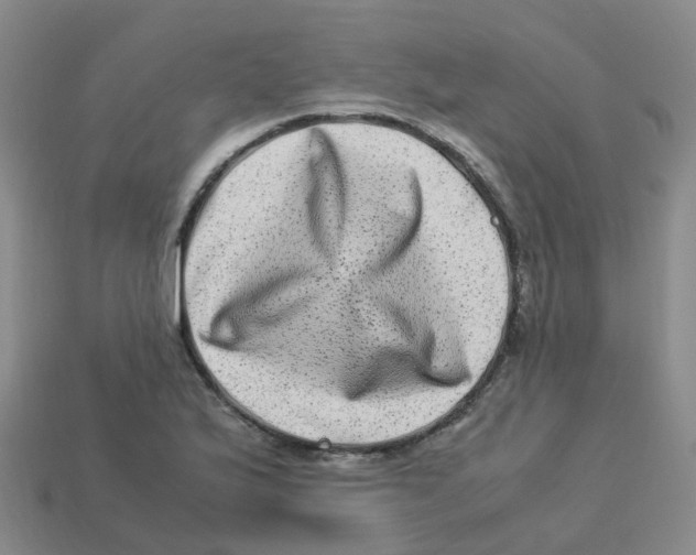 X0000113331175200910131142