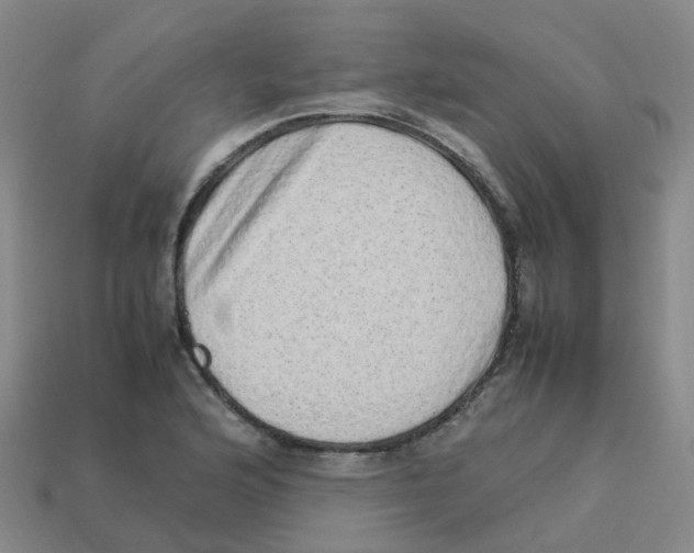 X0000113331176200910131142