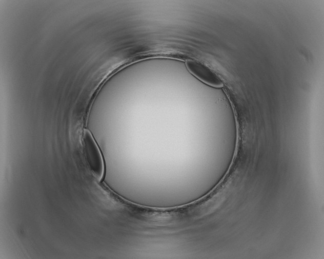 X0000113331177200910131142