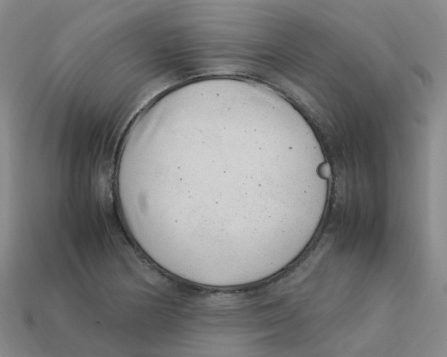 X0000113331178200910131142
