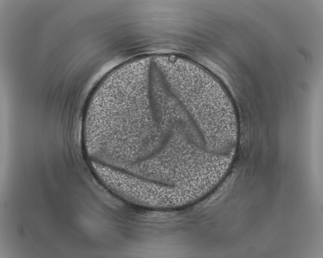 X0000113331179200910131142