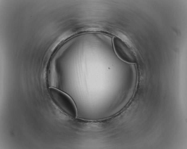 X0000113331181200910131142