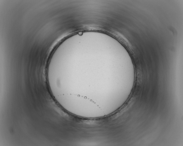 X0000113331182200910131142