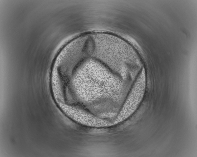 X0000113331183200910131142