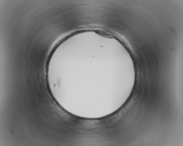 X0000113331184200910131142