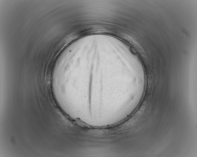 X0000113331185200910131142