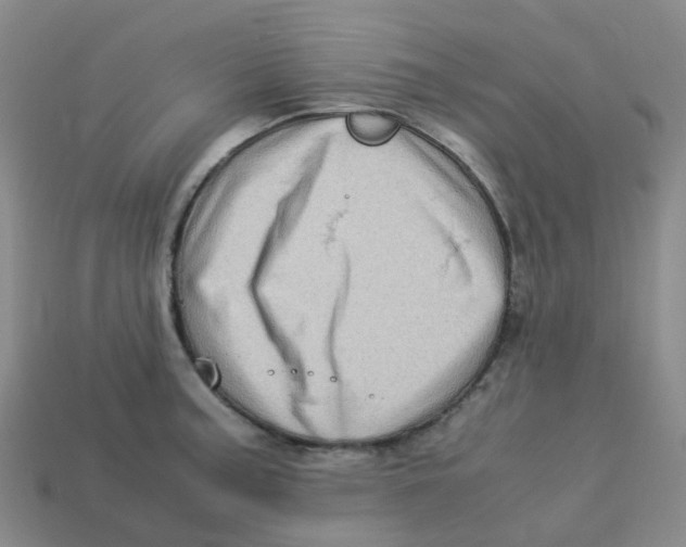 X0000113331187200910131142