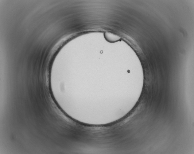 X0000113331188200910131142