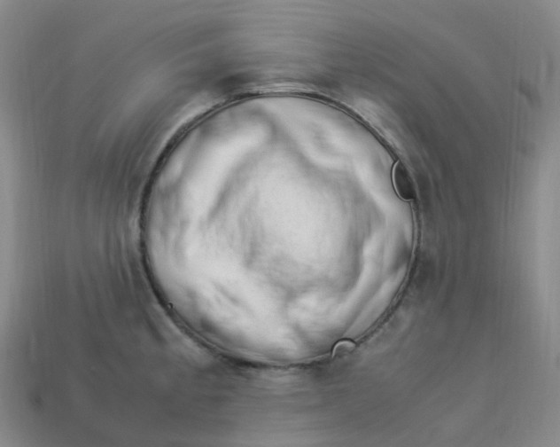 X0000113331189200910131142