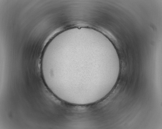 X0000113331190200910131142
