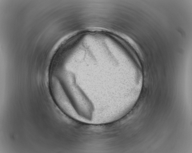 X0000113331191200910131142
